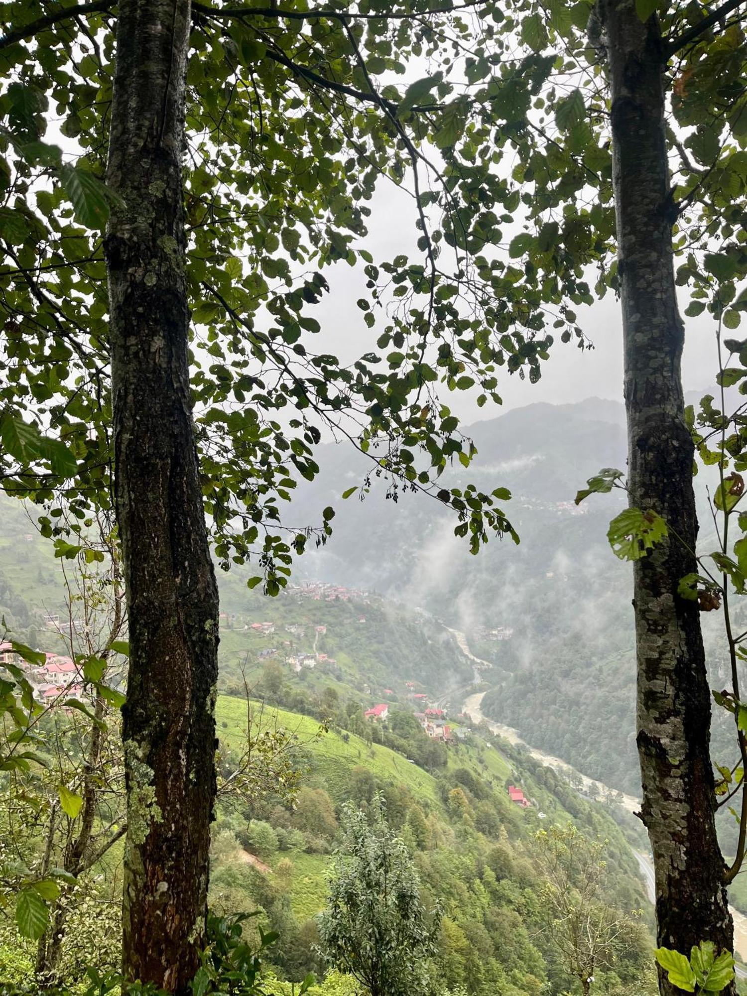 Relax Dag Evleri Rezistans Dikkaya  Exterior foto
